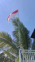 Bottom view of the Indonesian flag flying against a backdrop of green trees and a clean blue sky video