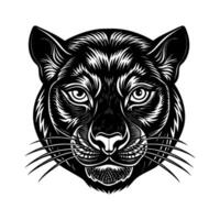 The head of a panther is shown in a black and white drawing vector