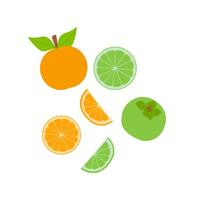 set of citrus. Lemon, orange, lime, grapefruit. Whole, halves and slices. Flat illustration vector