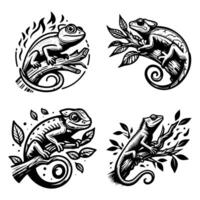 set of four chameleon lizard illustrations vector