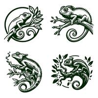 set of four chameleon lizard illustrations illustrations vector