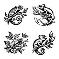 set of four chameleon lizard illustrations illustration vector