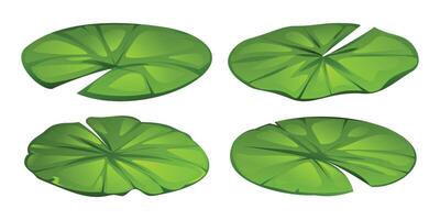 Set of water lily leaves with different shapes. Cartoon illustration vector