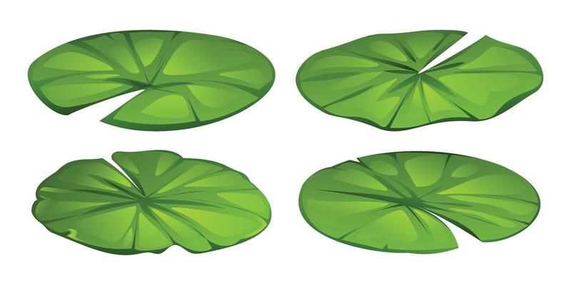 Set of water lily leaves with different shapes. Cartoon illustration