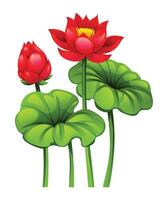 Red lotus flower with stem and lotus pad, accompanied by a blooming bud. Cartoon illustration vector