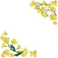 Canola Flower Border and Frame vector