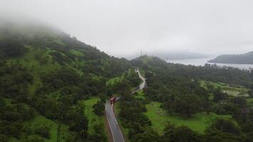 a red bus going through a highway in jungle video