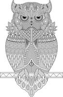 Hand Drawn Owl Coloring Page for Adults vector