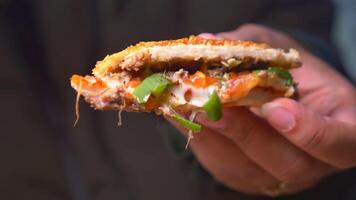 Delicious street sandwich with cheese and vegetables in hand video