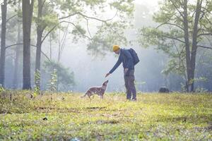 An adventurer is trekking through the woodland forest with his pet dog while playing together in the woods during summer to exploring trail and nature bath photo