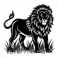 Lion standing in the grass vector