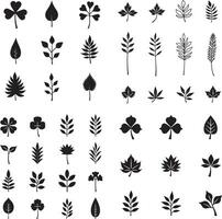 Set of Leaf Silhouettes icon illustration isolate on white background vector