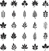 Set of Leaf Silhouettes icon illustration with white background vector