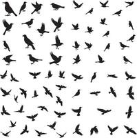 Set of silhouettes of birds icon illustration, perfect for logo design, art projects, and graphic design with white background vector