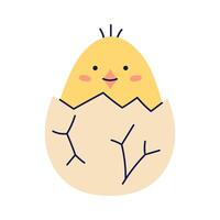 Cute chick hatched from egg and peeks out from cracked shell. Happy Easter hand drawn card. Flat illustration with partial outline. Isolated illustration. vector