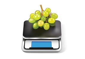 Grape Vine Kilo Scale, illustration, isolated on white background. vector
