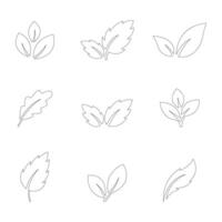 Set monochrome simple leaves botanical branches with stem and foliage illustration vector