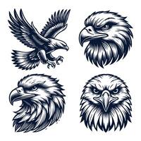 Eagle Design Bundle vector