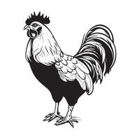 stylish black and white ink illustration of a farmer's rooster standing on a white background vector