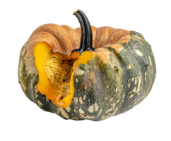 rotting pumpkin with collapsed shape and visible decay, spoiled gourd with moldy patches and decomposing interior, aged squash with wrinkled skin and exposed seeds, on isolated background png