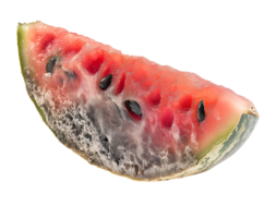 decayed watermelon wedge with soft watery texture and black mold, spoiled fruit slice with fungal contamination and decomposition, on isolated background png