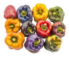 wrinkled and moldy bell peppers in various colors, spoiled and decayed vegetables with shriveled skin and fungal growth, aged produce with visible blemishes, on isolated background png