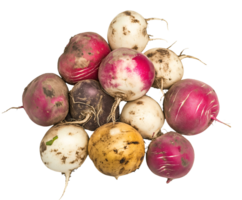 spoiled root vegetables including radishes and turnips, decayed and dirty root crops with blemishes and shriveled texture, aged produce with signs of spoilage, on isolated background png