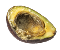 rotting avocado half with brown mushy interior and mold, spoiled fruit with fungal growth and decayed texture, decomposing produce with visible deterioration, on isolated background png