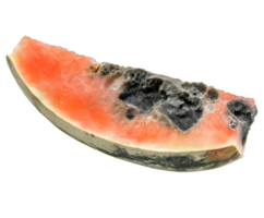 rotting watermelon slice with black mold and fungal growth, spoiled fruit with discolored flesh and decomposition, decayed produce with shriveled texture, on isolated background png