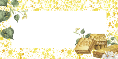 Organic food and ingredient banner template with watercolor honeycombs linden branches and daisy flowers illustrations. Field flowers chamomile with sweet honey on yellow splashes frame for packing png