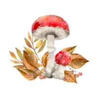 Autumn mushroom composition with red fly agaric and colorful autumn leaves illustration. Hand drawn fall seasonal clipart with forest botanical objects for harvest season poster,card design png