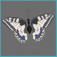 Minimalist butterfly icon cartoon isolated on gray background. vector