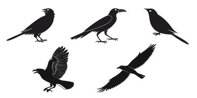 Silhouettes of Birds in Various design vector