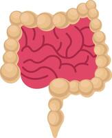 Intestine illustration with isolated background vector