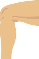 Leg illustration with isolated background vector