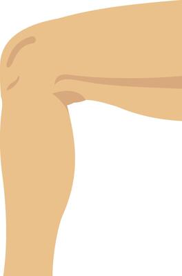 Leg illustration with isolated background