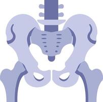 Human Bone Skeleton illustration with isolated background vector