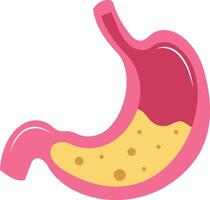Stomach illustration with isolated background vector