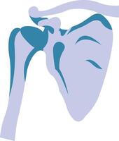 Bone Skeletonillustration with isolated background vector