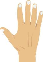 Hand illustration with isolated background vector