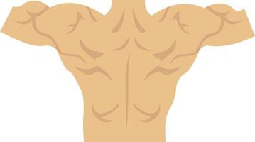 Back illustration with isolated background vector