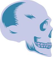 Human Skull illustration with isolated background vector
