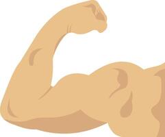 Biceps illustration with isolated background vector