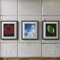 Three framed photographs of a rose, sky and clouds photo