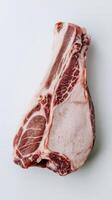 Raw pork neck meat slice isolated on white background photo