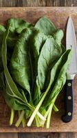 A bunch of spinach on a cutting board with a knife photo