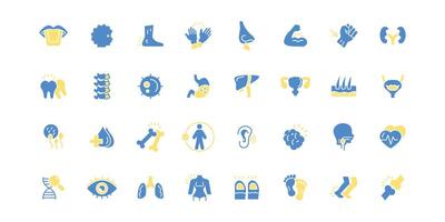 Anatomy icon set.Editable stroke.linear style sign for use web design,logo.Symbol vector