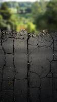 A close up of a cracked road with trees in the background photo