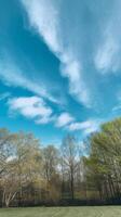 A grassy field with trees and clouds photo