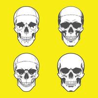 Set of high quality skull silhouette vector